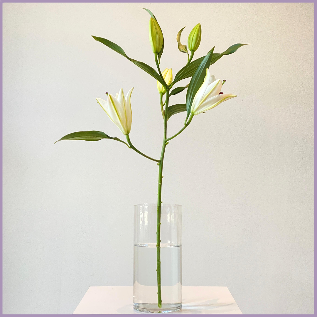 Fresh White Lily Stem - Sold per 1 Stem - Create your Own Arrangement