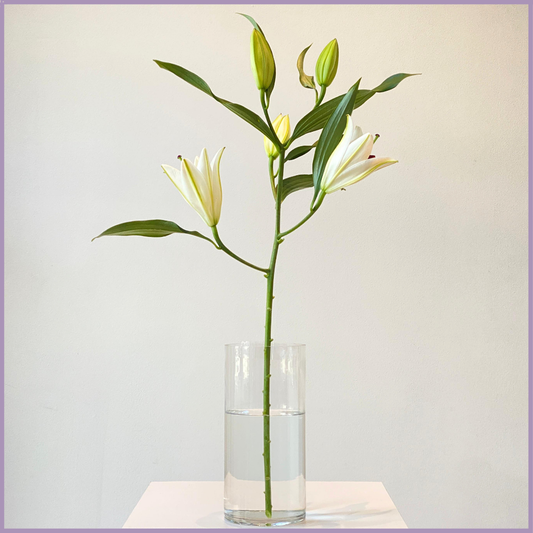 Fresh White Lily Stem - Sold per 1 Stem - Create your Own Arrangement