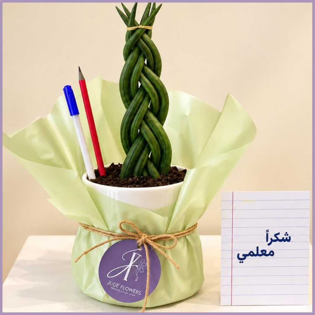 Growing Gratitude