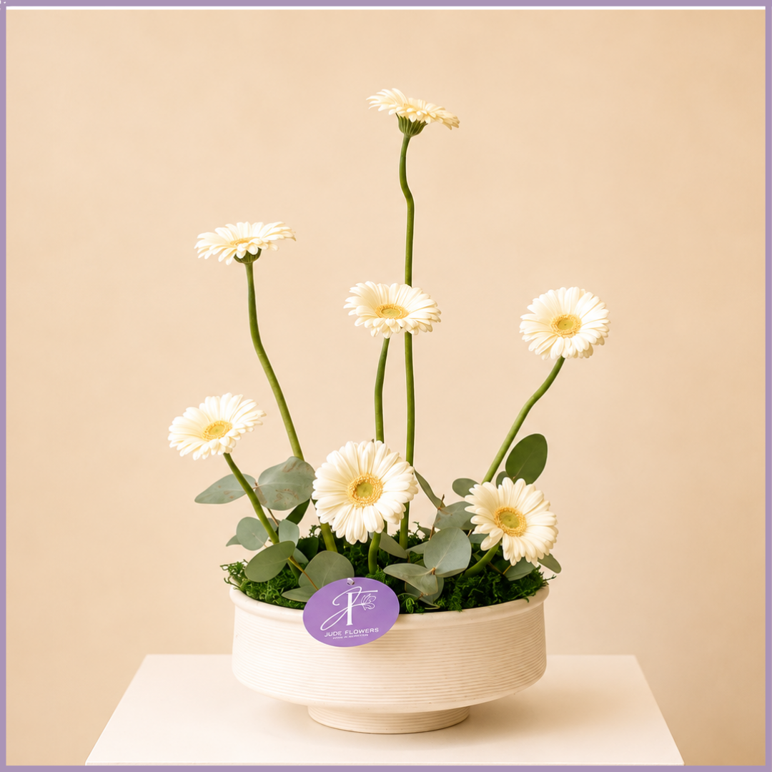 Ivory Heights – White Gerbera Flower Arrangement
