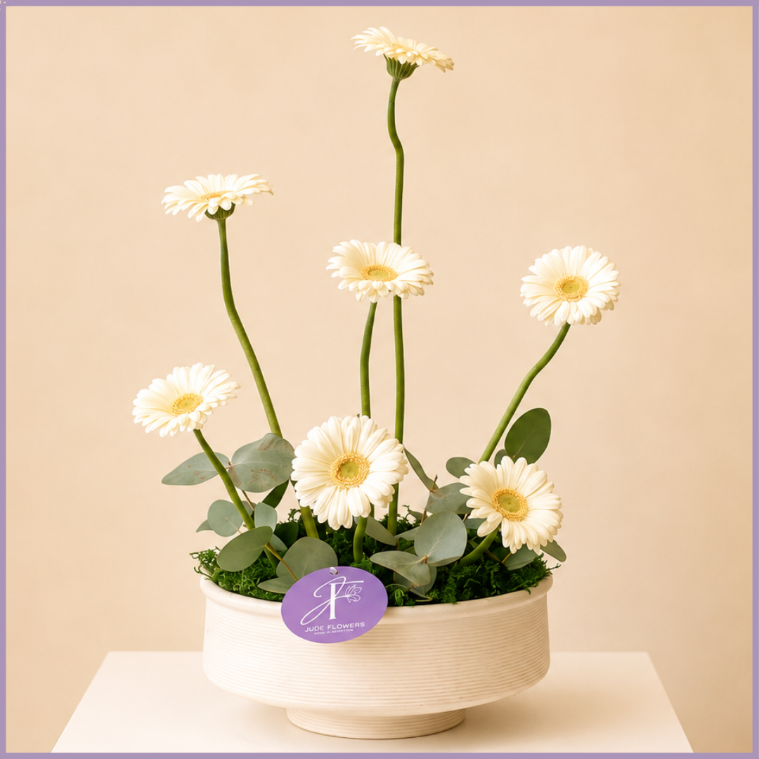 Ivory Heights – White Gerbera Flower Arrangement