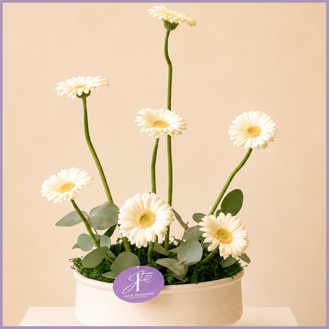 Ivory Heights – White Gerbera Flower Arrangement
