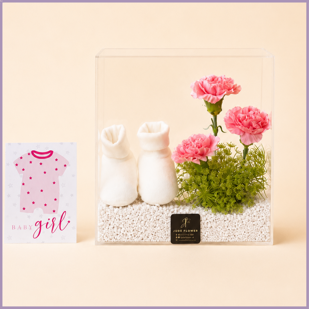 Pink Beginnings Baby Girl Gift Box