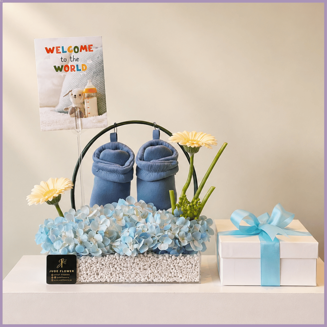 Little Prince Welcome Gift