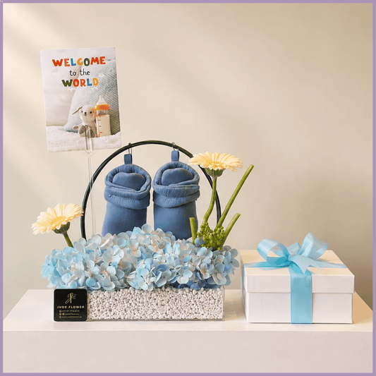 Little Prince Welcome Gift