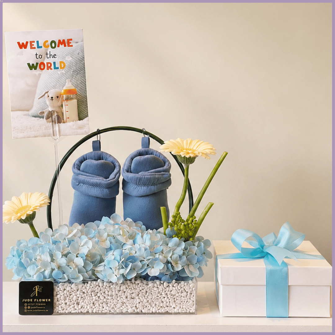 Little Prince Welcome Gift