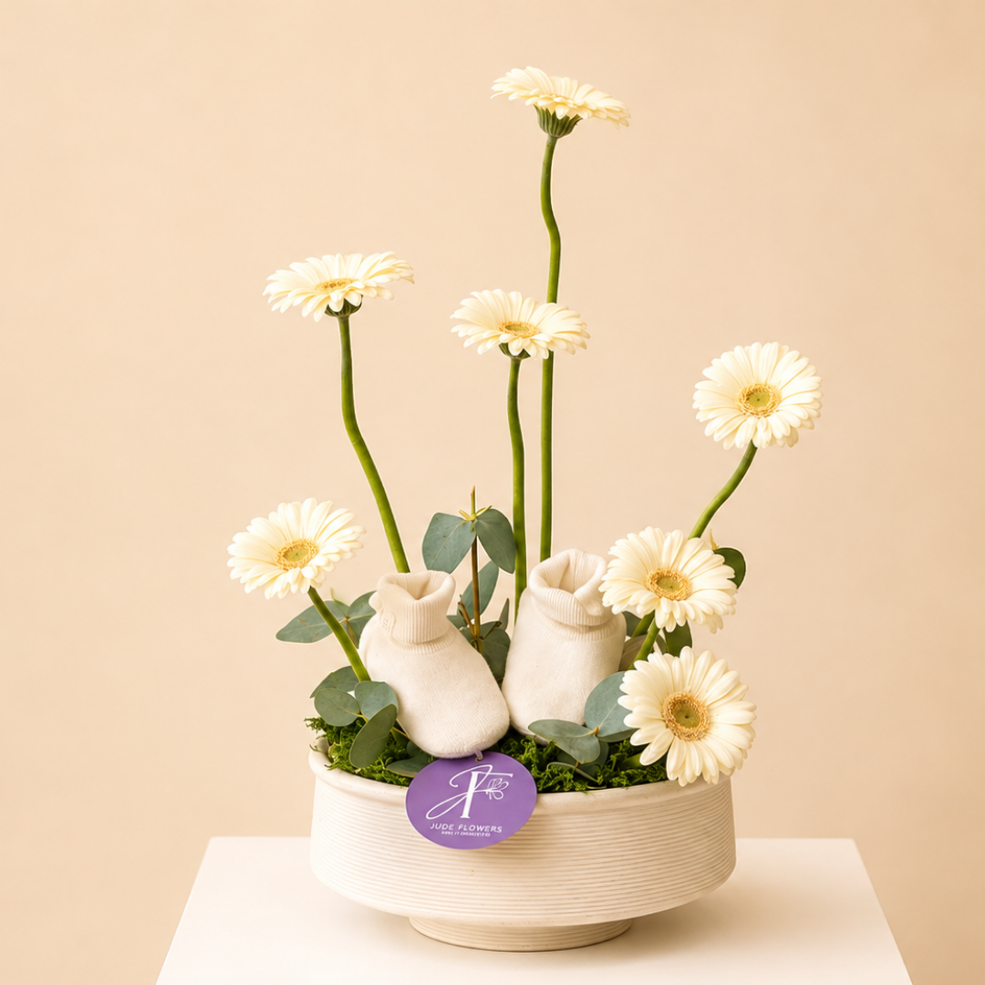White Gerbera & Baby Shoes Gift Arrangement