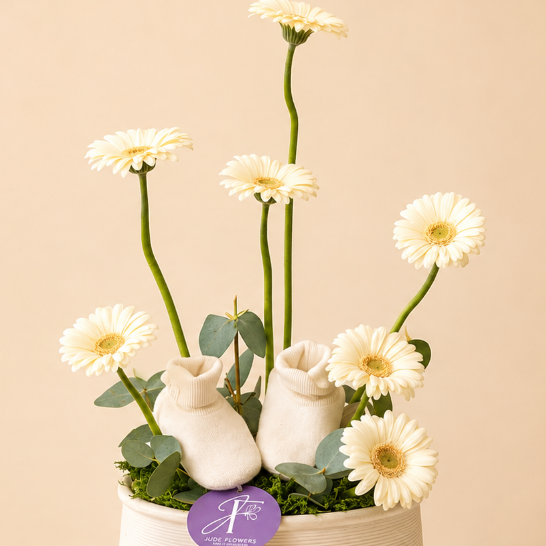 White Gerbera & Baby Shoes Gift Arrangement