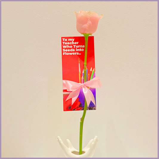 Pink Rose Teacher’s Day Appreciation Gift