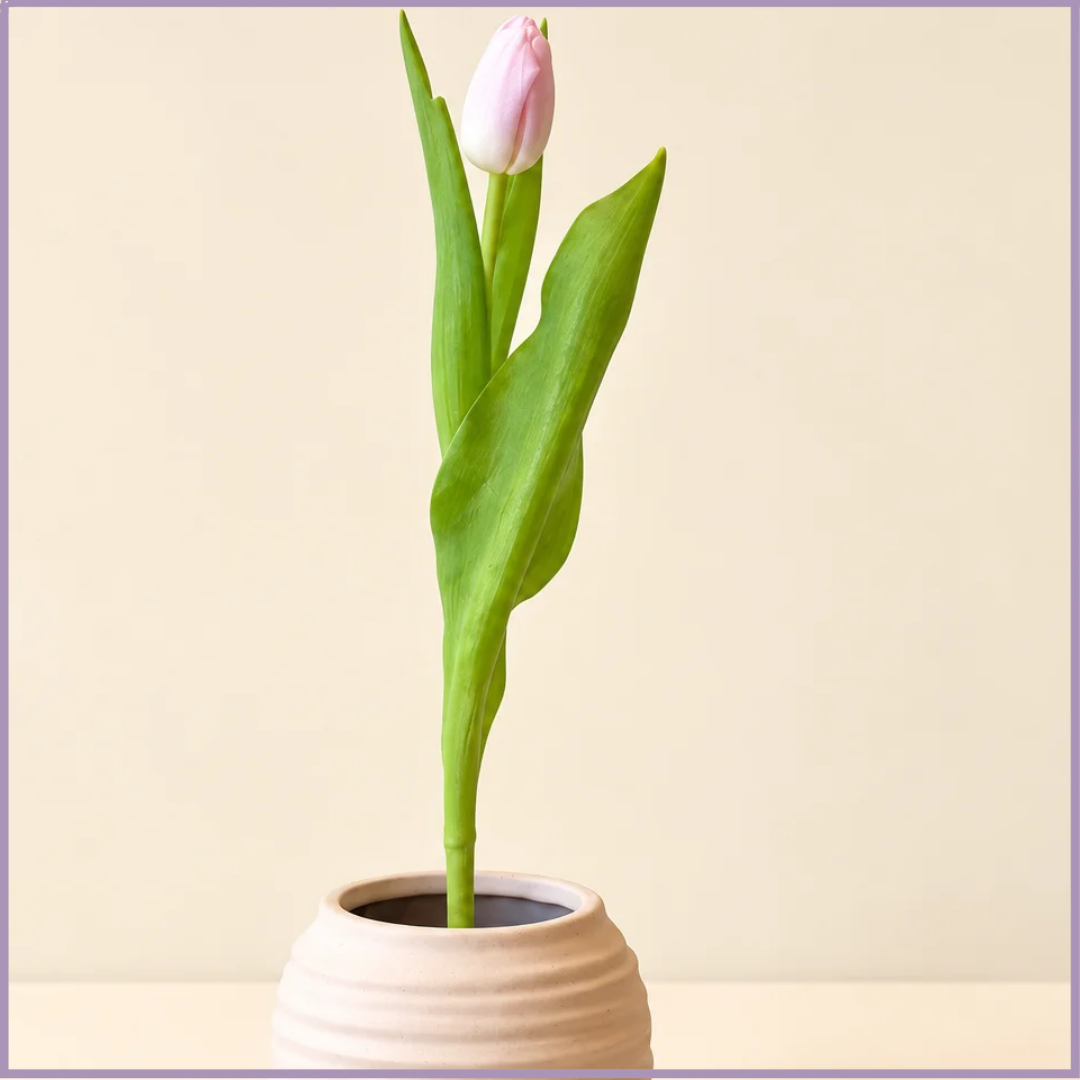Pink Tulip Stem - 1 Stem - Create Your Own Bouquet