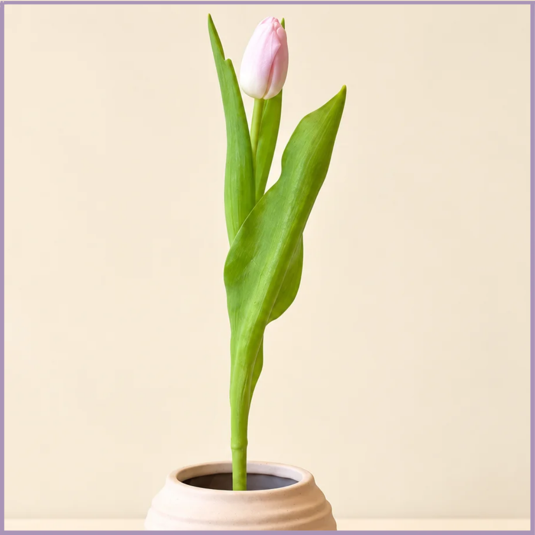 Pink Tulip Stem - 1 Stem - Create Your Own Bouquet