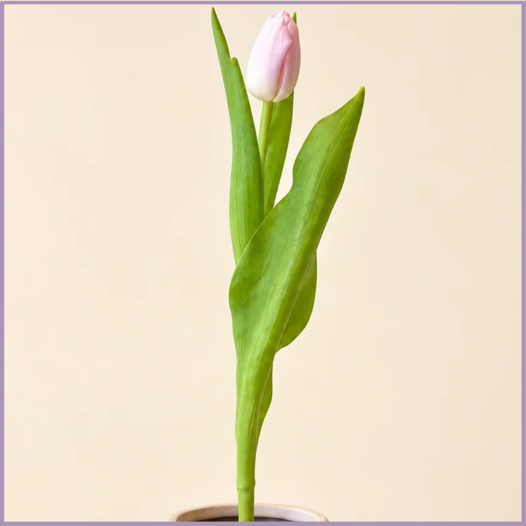 Pink Tulip Stem - 1 Stem - Create Your Own Bouquet