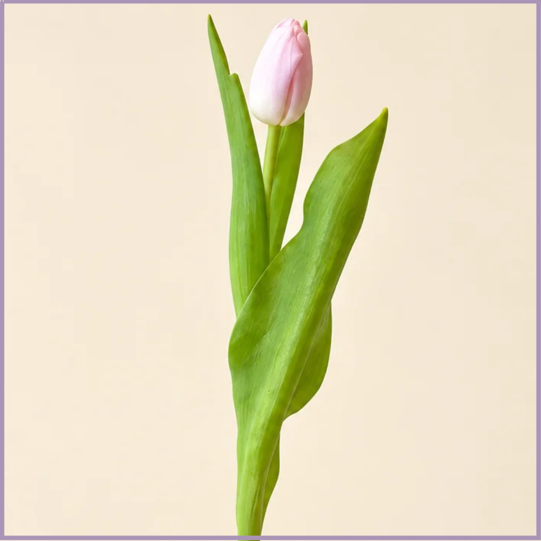 Pink Tulip Stem - 1 Stem - Create Your Own Bouquet