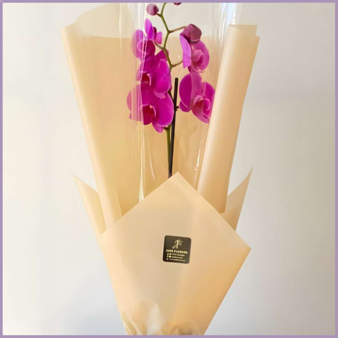 Purple Orchid Wrapped with Bow