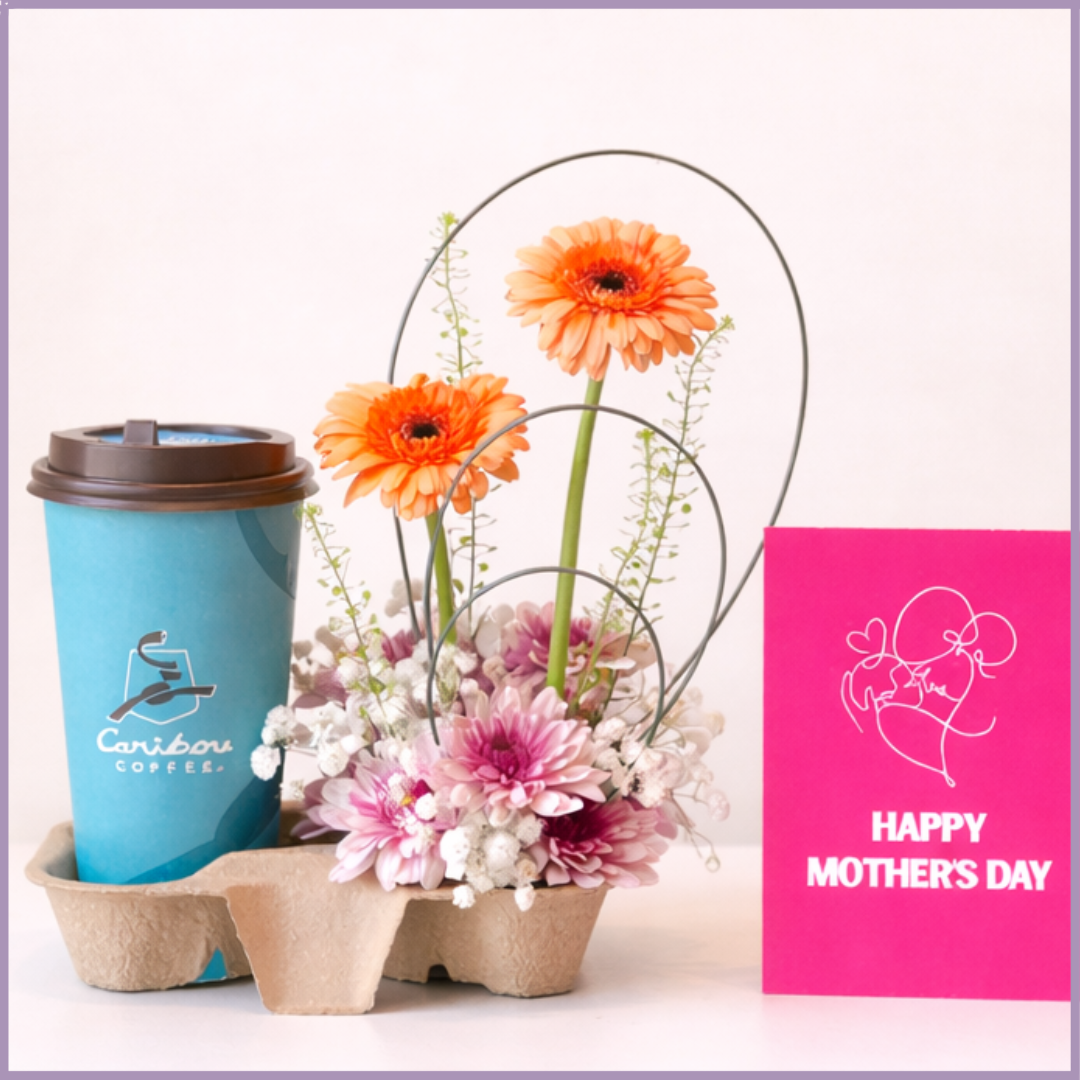 Caribou Coffee Gerbera Mothers Day Floral Surprise Gift