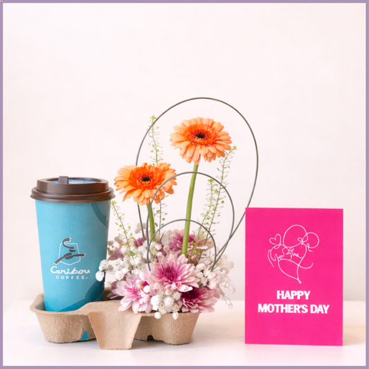 Caribou Coffee Gerbera Mothers Day Floral Surprise Gift