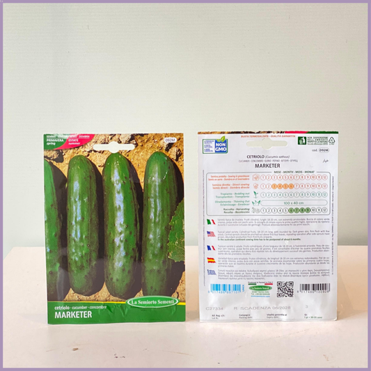 TOP SEED Non GMO Cucumber Seeds Italy