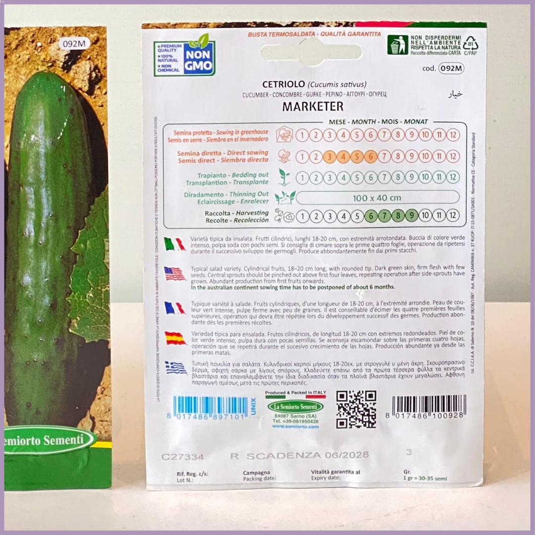 TOP SEED Non GMO Cucumber Seeds Italy