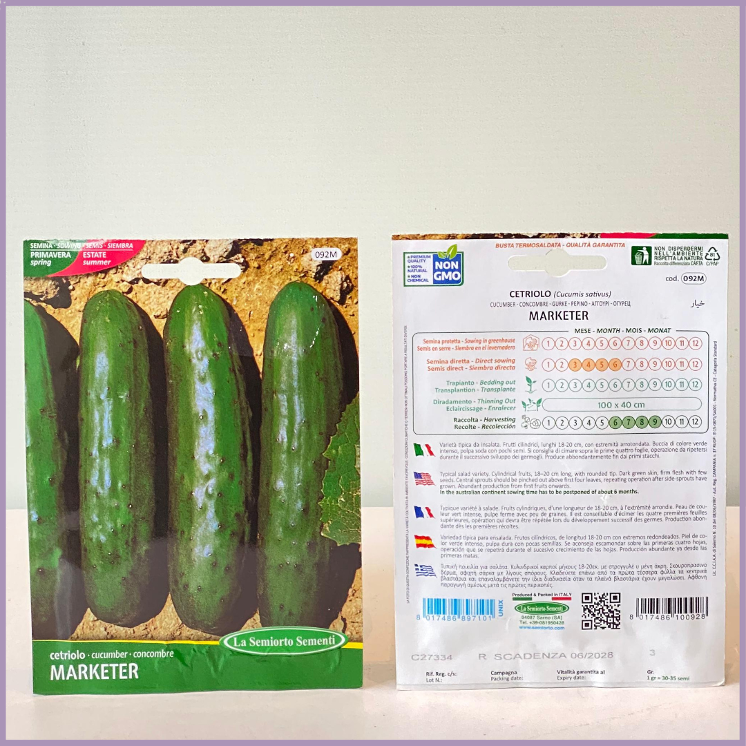 TOP SEED Non GMO Cucumber Seeds Italy
