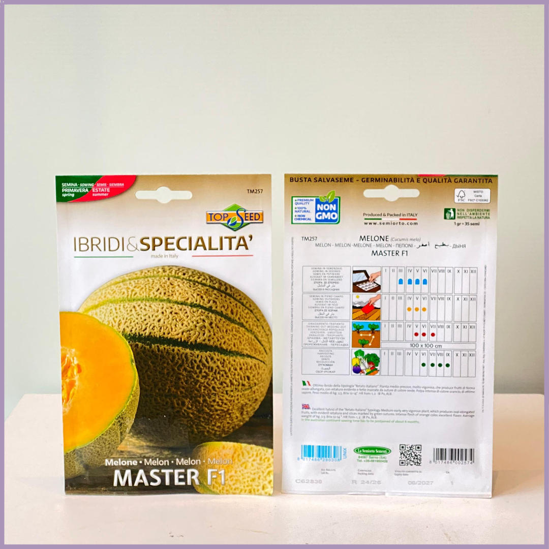 TOP SEED Non GMO Melon Seeds Master F1 Italy