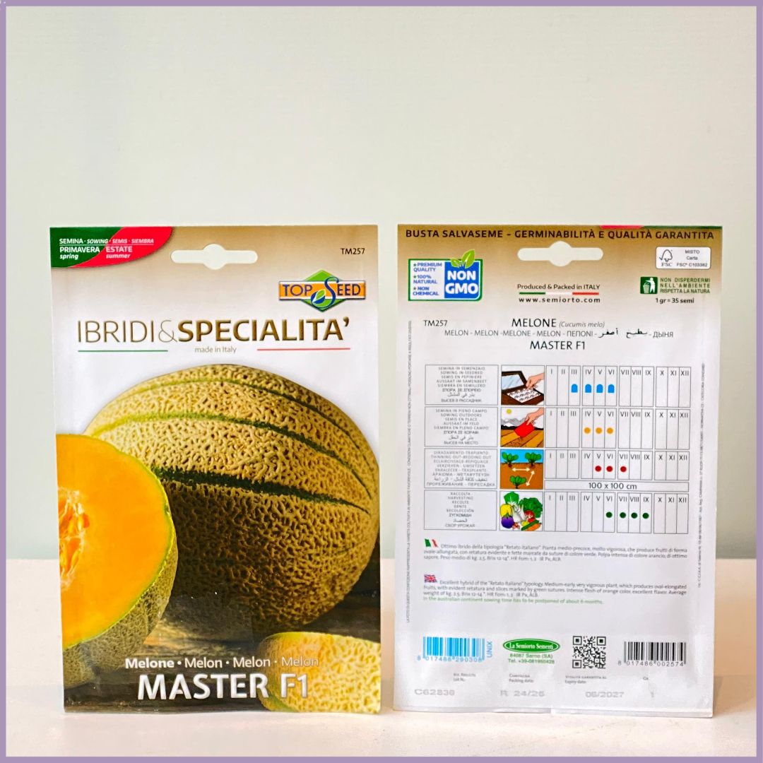 TOP SEED Non GMO Melon Seeds Master F1 Italy