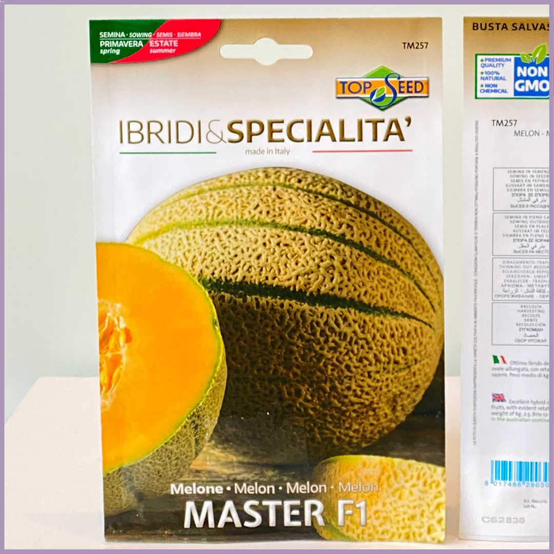 TOP SEED Non GMO Melon Seeds Master F1 Italy