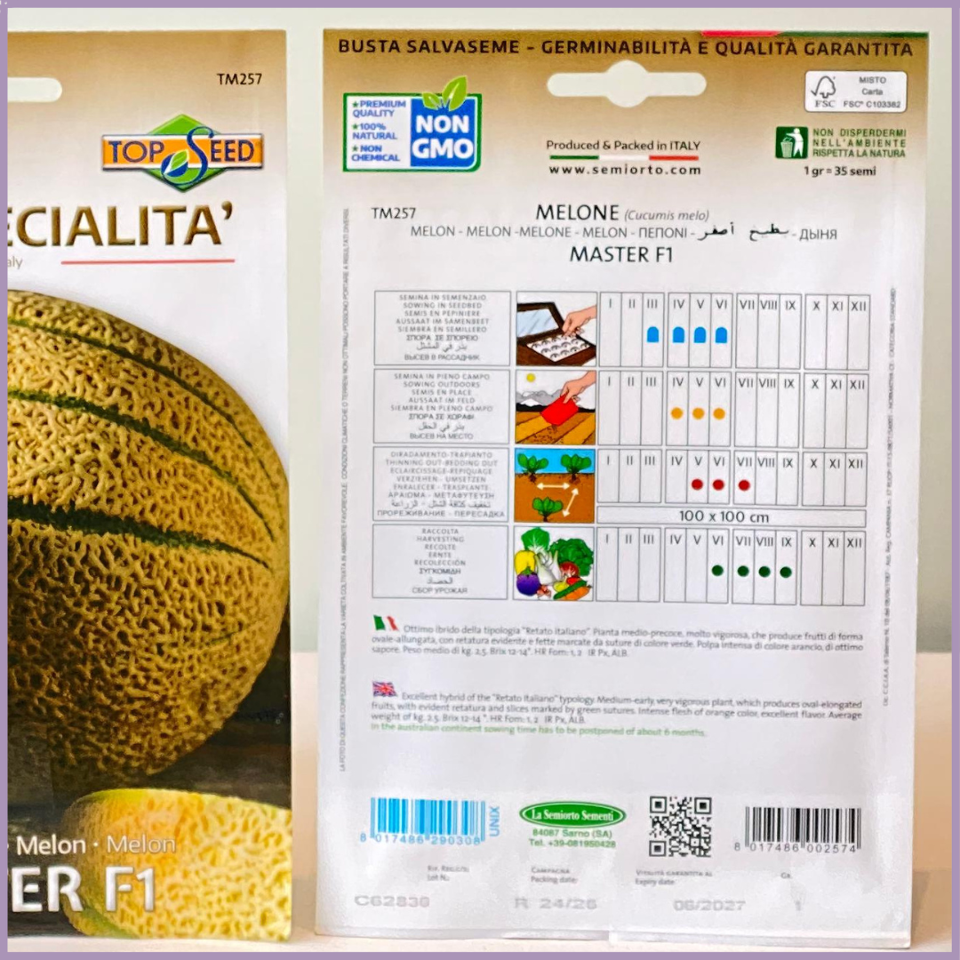 TOP SEED Non GMO Melon Seeds Master F1 Italy