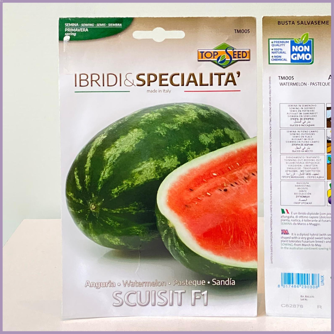 TOP SEED Non GMO Red Watermelon Seeds Italy