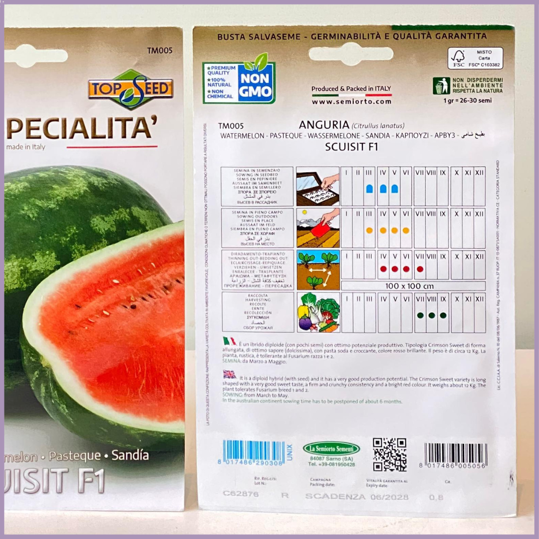 TOP SEED Non GMO Red Watermelon Seeds Italy