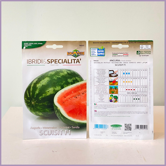 TOP SEED Non GMO Red Watermelon Seeds Italy