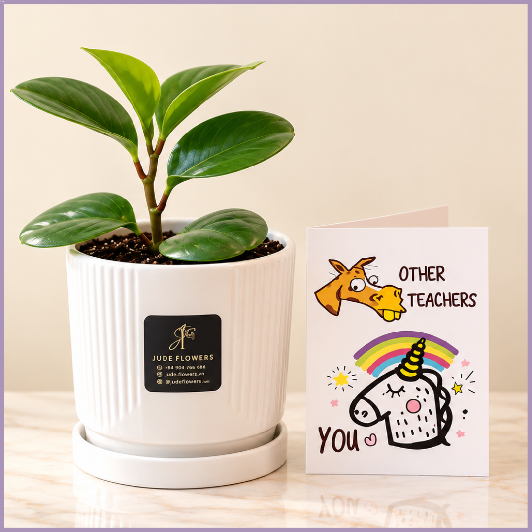 Teacher’s Little Green Thank You