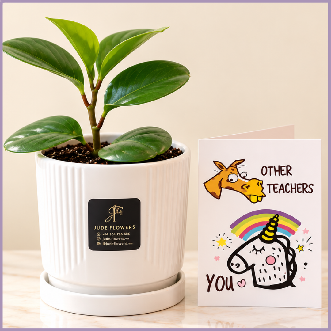 Teacher’s Little Green Thank You