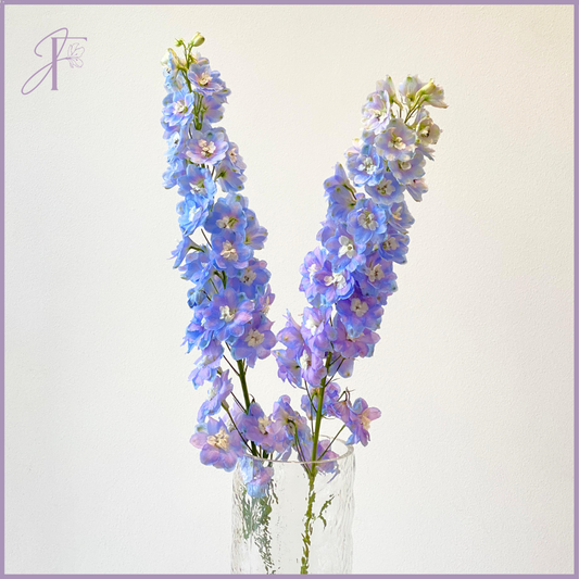 Fresh Blue-Purple Delphinium Stems (Per Stem, Create Your Own Arrangement)