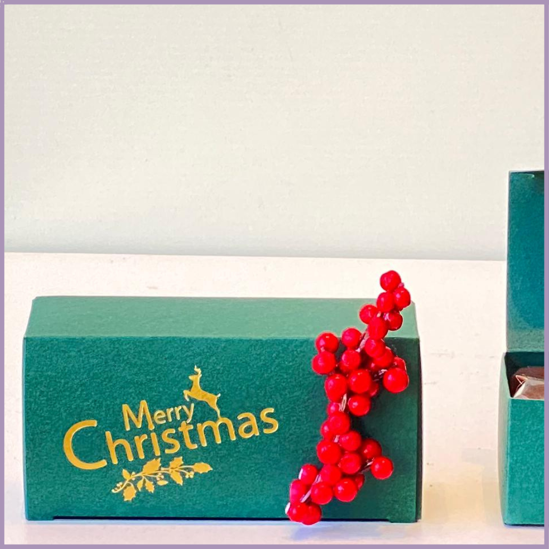 Christmas Dolcetta Belgium Chocolate Gift Box – 16 pcs