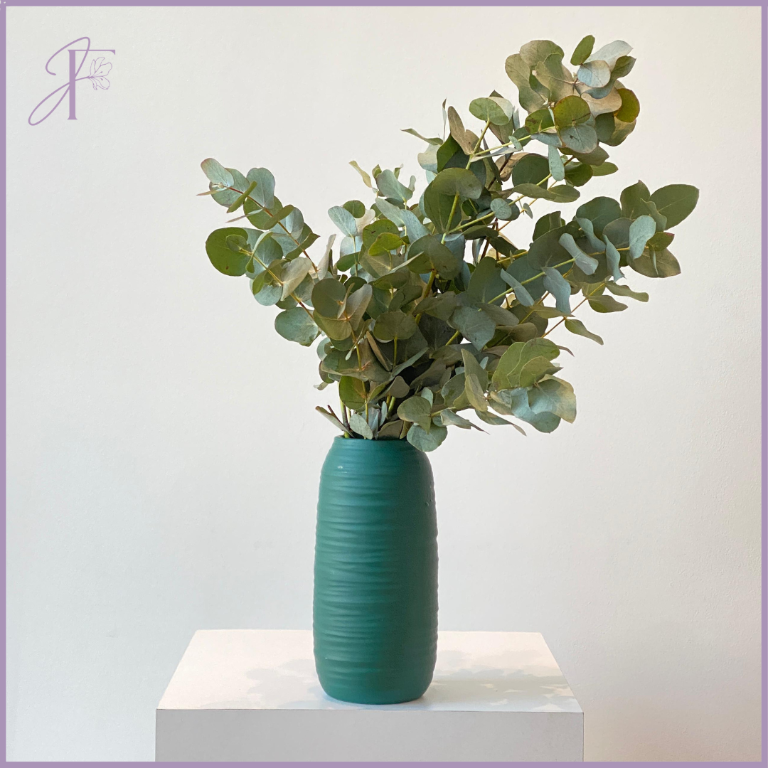 Fresh Eucalyptus Stems (Per stem, Create your Own Arrangement)