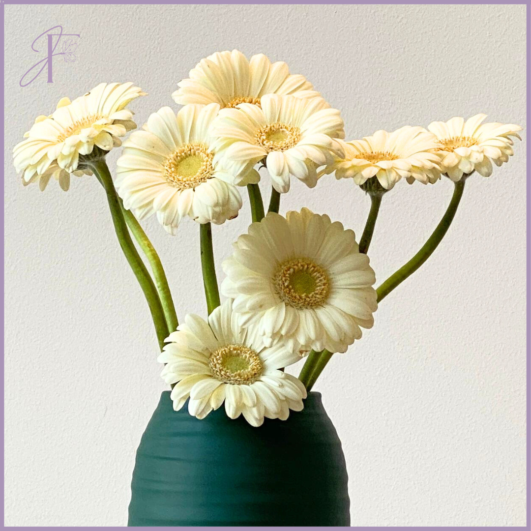 Fresh White Gerbera Stems (Per Stem, Create Your Own Arrangement)