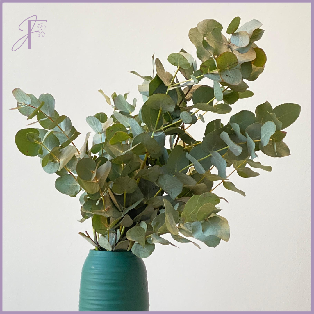 Fresh Eucalyptus Stems (Per stem, Create your Own Arrangement)