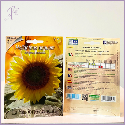 Plant Your Garden: Non-GMO Giant Sunflower Seeds – plant, delivered in Bahrain