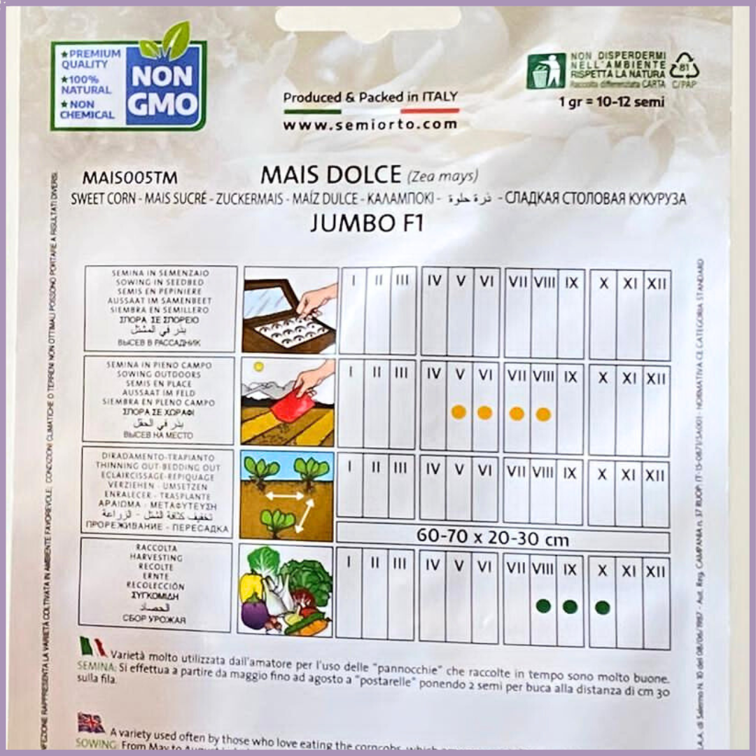 Plant Your Garden: Non-GMO Sweet Corn Seeds (Jumbo F1)