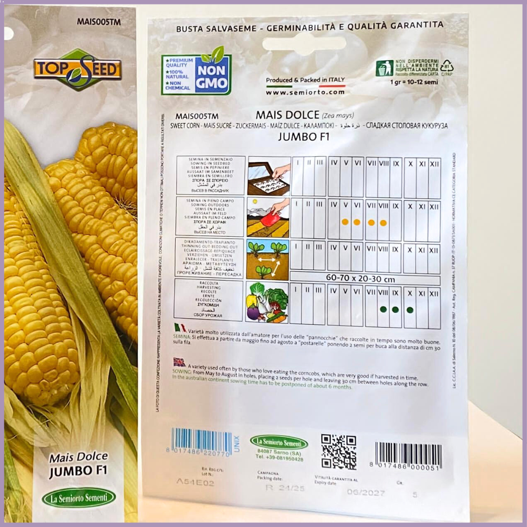 Plant Your Garden: Non-GMO Sweet Corn Seeds (Jumbo F1)