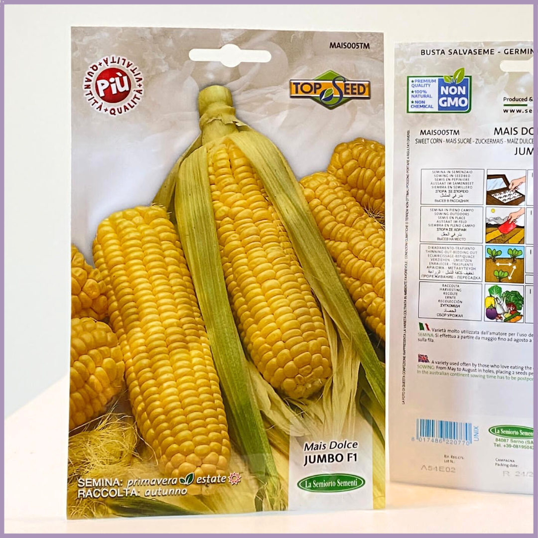 Plant Your Garden: Non-GMO Sweet Corn Seeds (Jumbo F1)