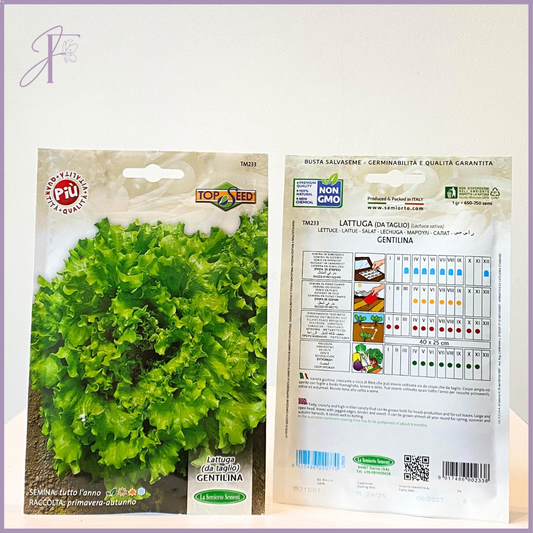 Non-GMO Cut-and-Come-Again Lettuce Seeds (Centifolia) - Grow in Bahrain – plant, delivered in Bahrain