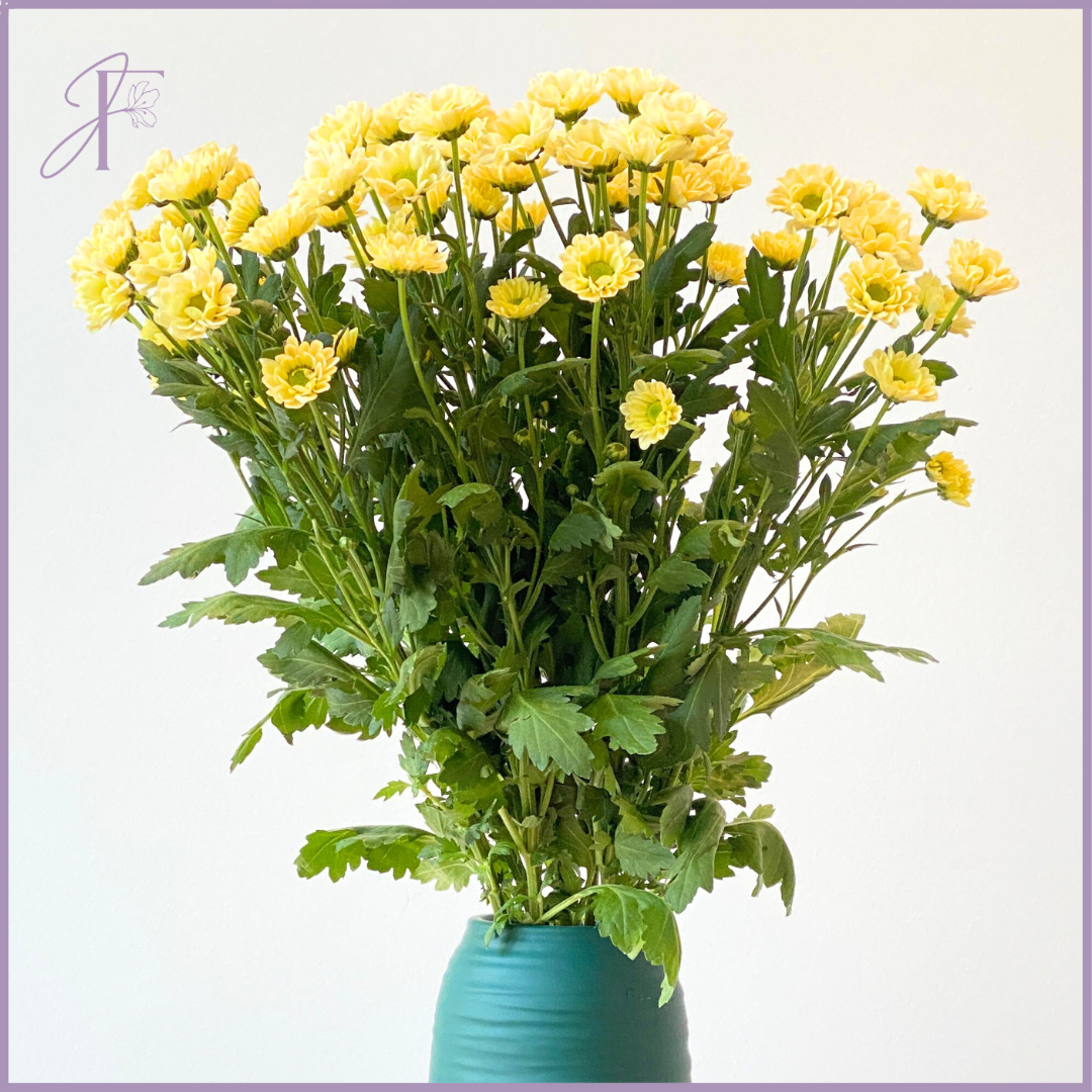 Yellow Santini Stem - Sold per stem (1) - Make your own Bouquet