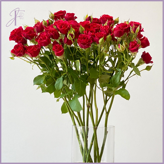 Red Spray Rose Stem - 1 Stem - Create your own Bouquet - Vase not included