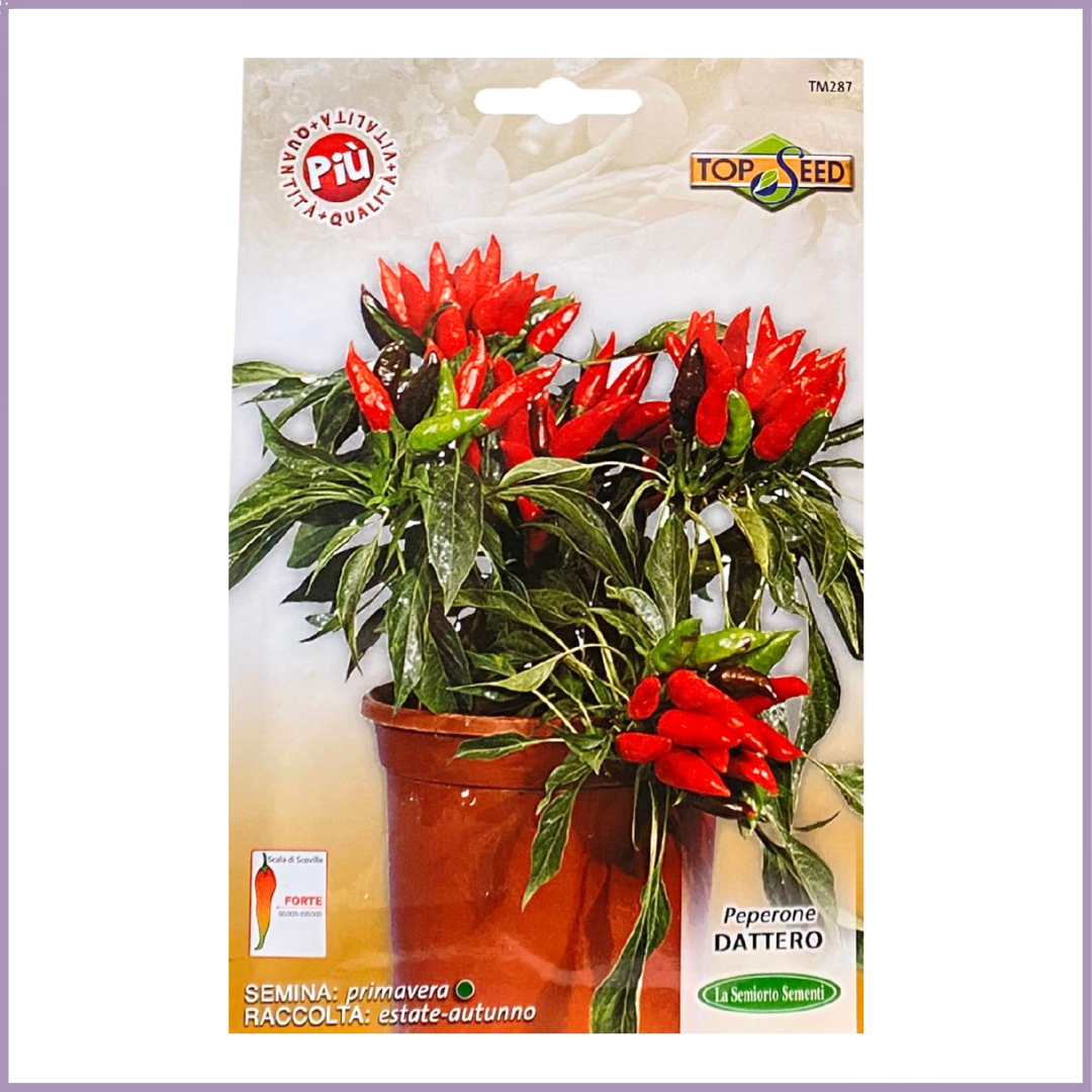 TOP SEED Non-GMO Peperone Dattero Chilli Seeds - Grow Your Own Spicy Harvest