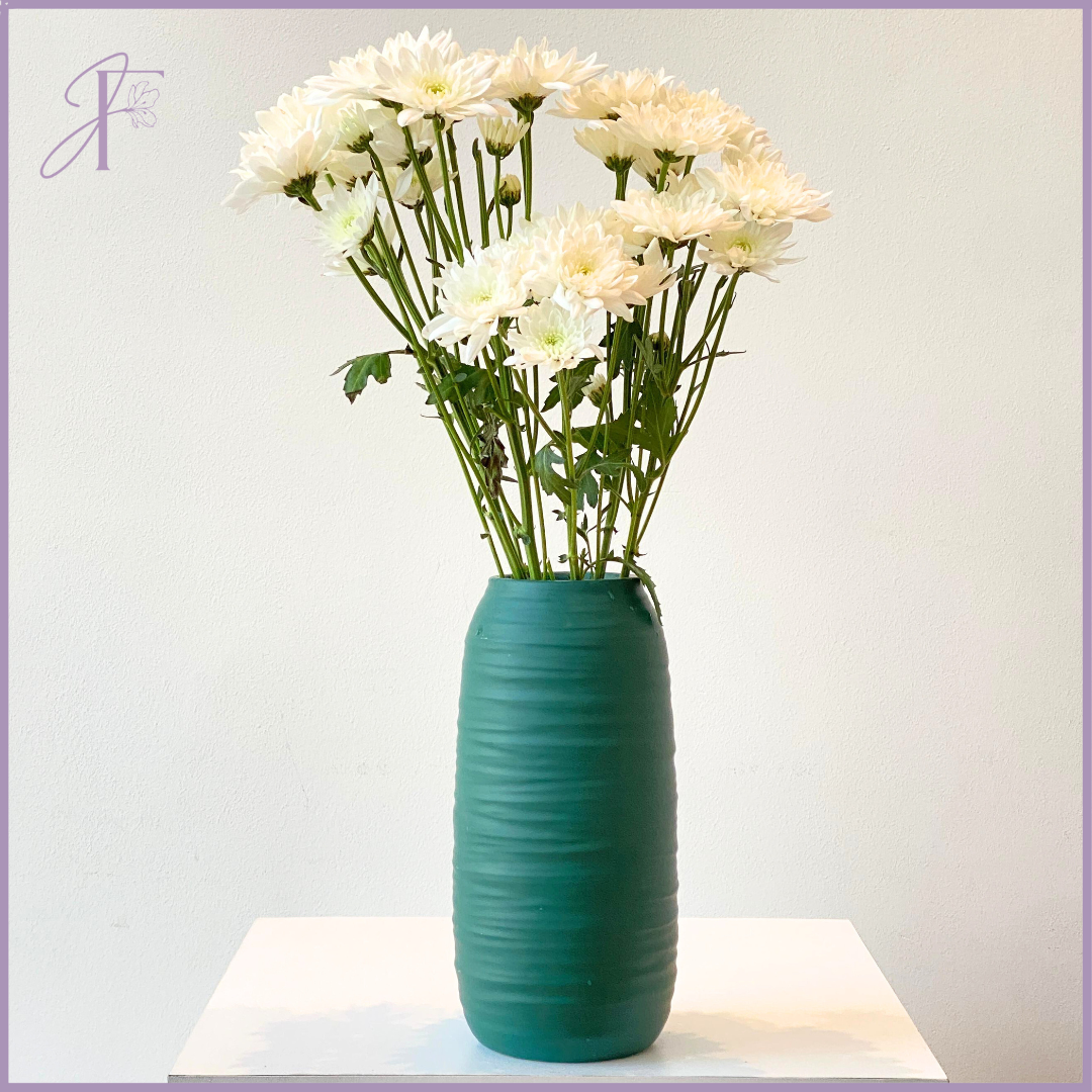 White Chrysanthemum Stem