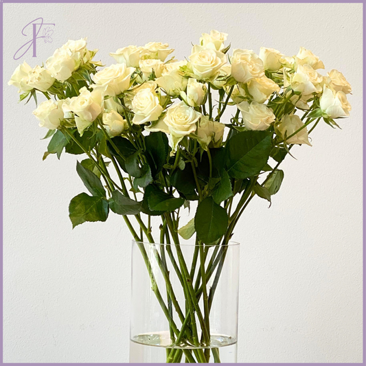 White Spray Rose Stem - 1 Stem - Create your Own Bouquet - Vase not included